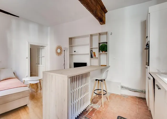 Apartment L'arche Des Carmes - Confort Et Calme Hyper-centre