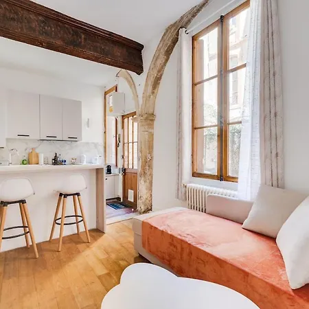 L'arche Des Carmes - Confort Et Calme Hyper-centre *