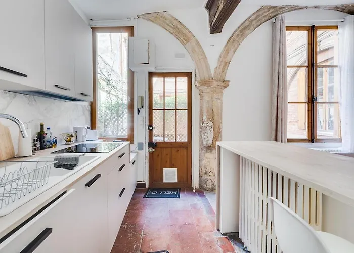 L'arche Des Carmes - Confort Et Calme Hyper-centre Toulouse