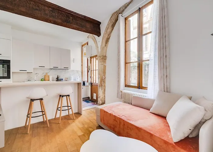 L'arche Des Carmes - Confort Et Calme Hyper-centre *